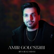آهنگ جدید امیر گلستانی به نام بیا بخوابم